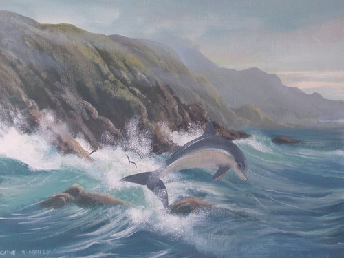 dolphin on the west coast by cathal o malley
