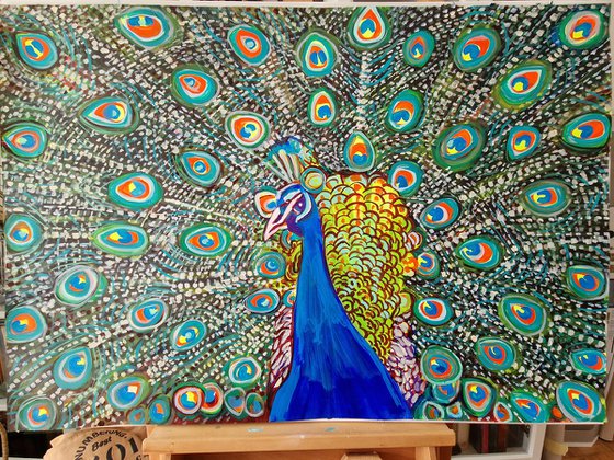 Peacock