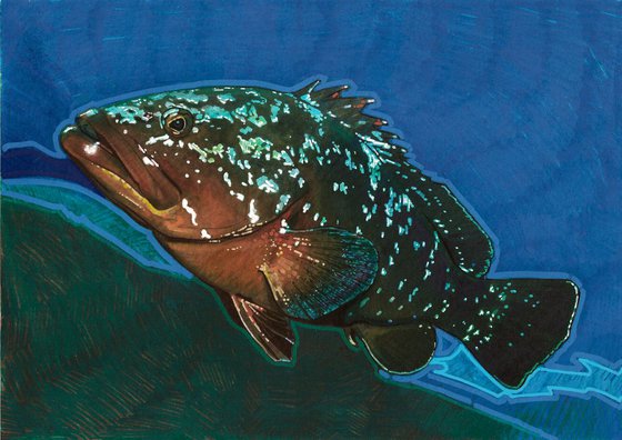 Grouper 03 -SOLD-