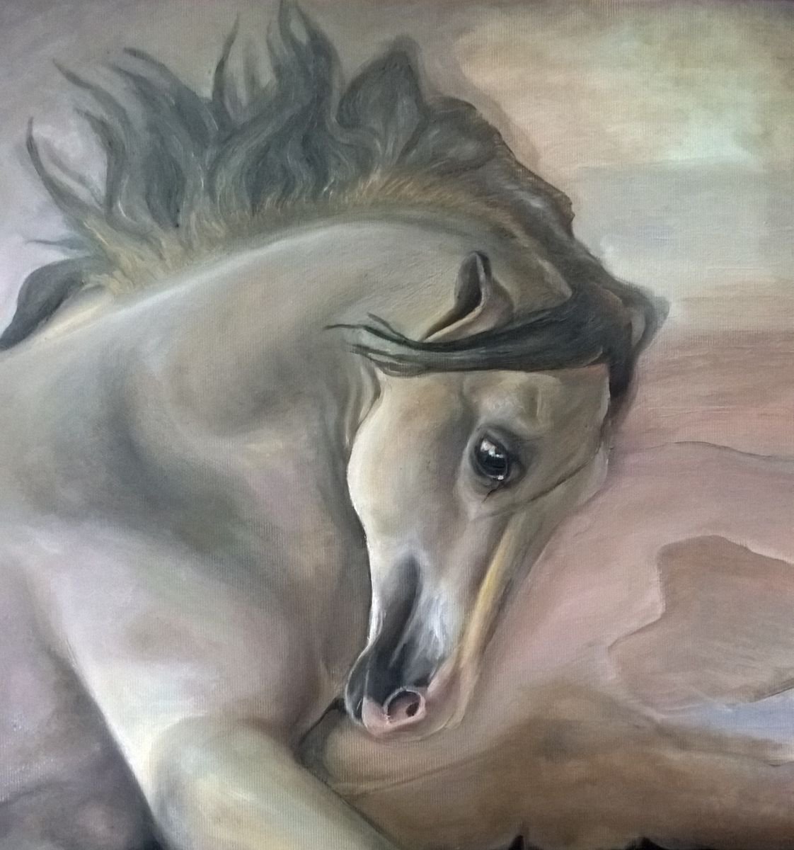 Photorealistic Animal Oil Painting By Viktoria Deri, 16 X 16", Horse, Original Artwork