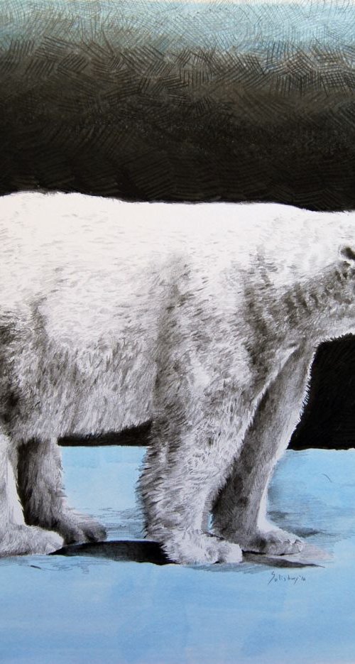 Northern cry by Trevor Salisbury