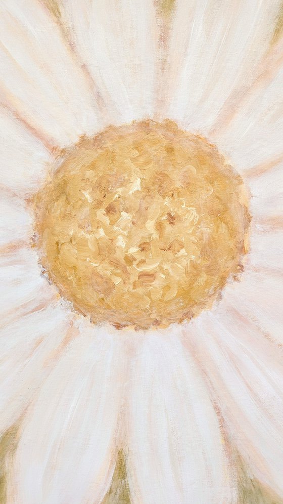 "Portrait of a Daisy" (Trust Series)