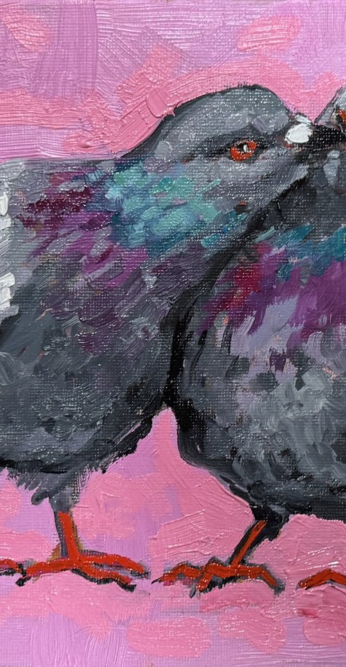 Pigeons by Ekaterina Dutkevich