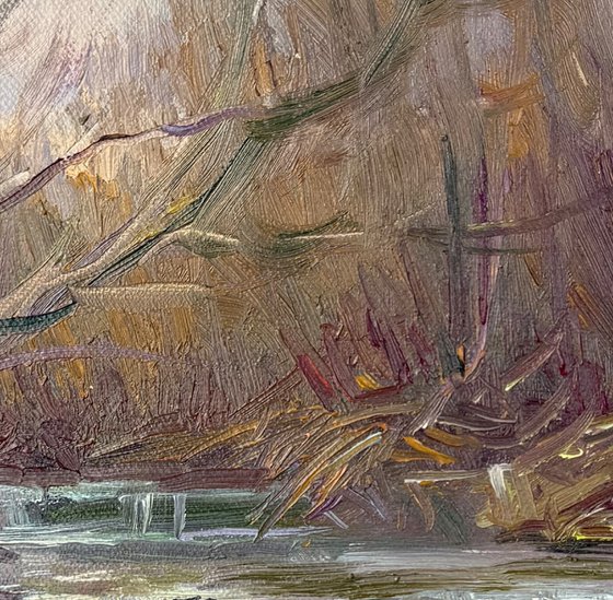 Early Spring Rapids