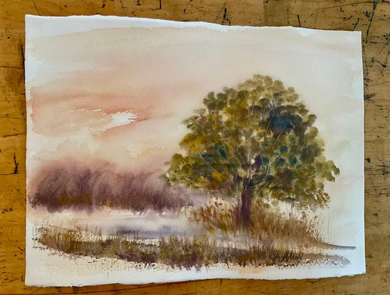 Summer Oak