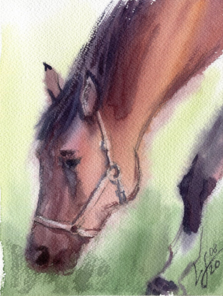 Impressionistic Animal Watercolour By Svitlana Lagutina, 6 X 7", The Brown Horse, Original Artwork
