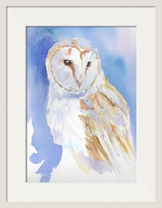 Barn Owl