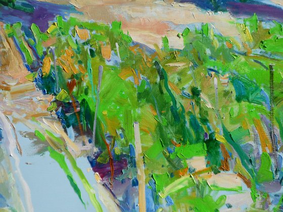 " Valley of vineyards"