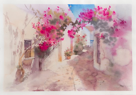 Bougainvillea in Greece