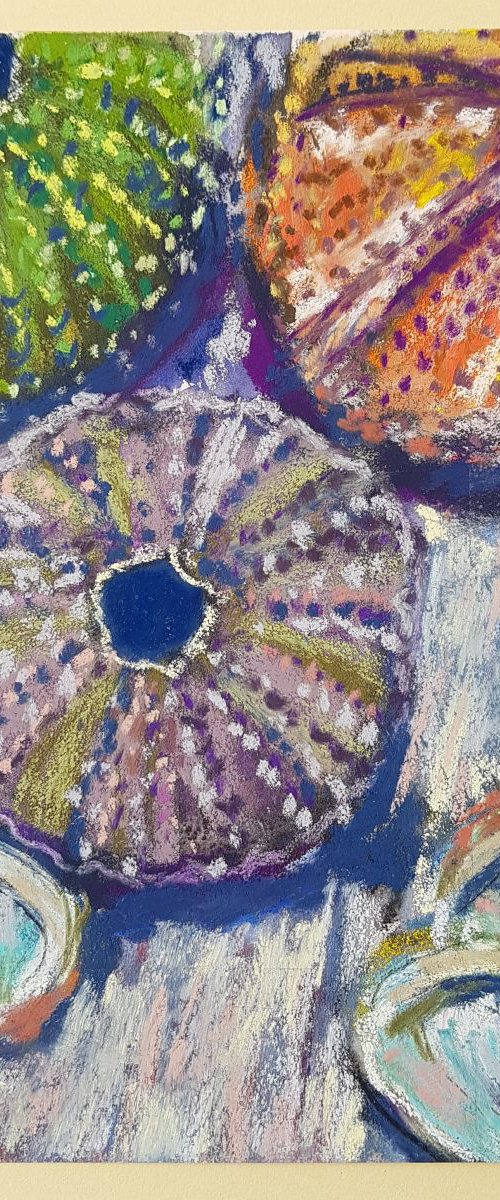 Abalone and sea urchins by Silvia Flores Vitiello