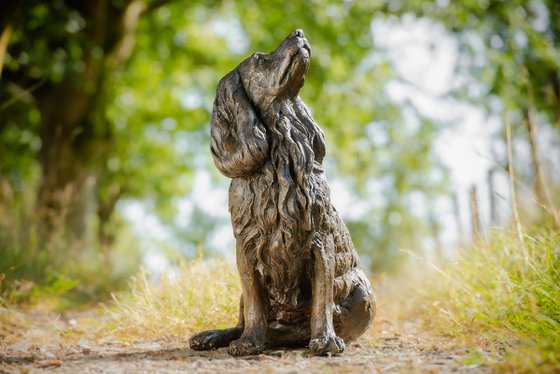 Sitting Working Spaniel 2 BR