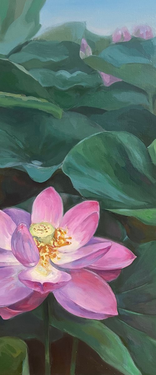 Lotuses Pink by Guzel Min
