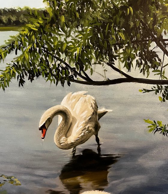 Swans at the Lake (50x40 cm)