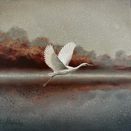 White #4 Egret
