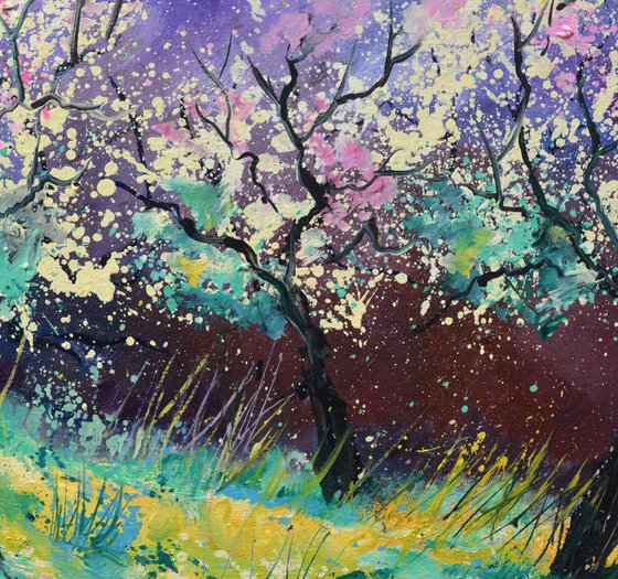 Appletrees in blossom -6523