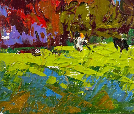 Cows on the meadow