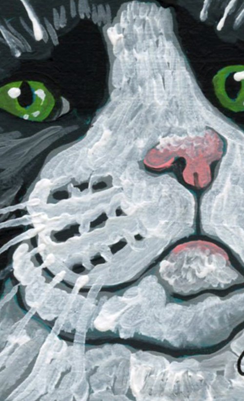 Tuxedo Cat by Carla Smale