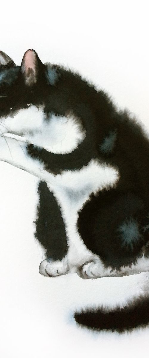 Black and White Cat Licking It by Olga Beliaeva Watercolour