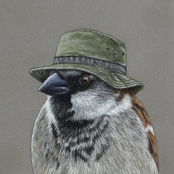 Original pastel drawing bird "House sparrow"