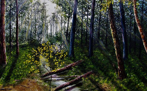 Light Refracting Through the Forest  61cm x 92cm