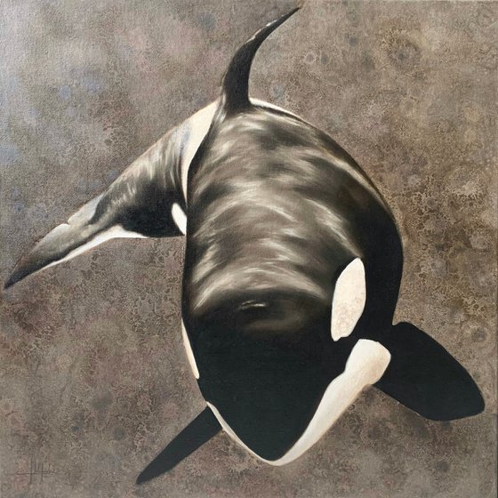 Orca