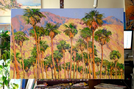 Palm Springs, Landscape