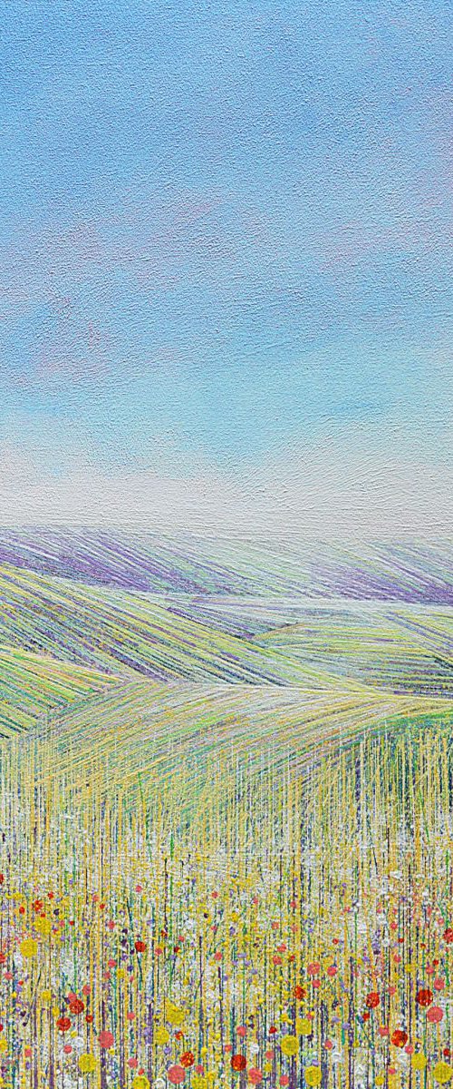 Wild Flower Meadow with Poppies by Marc Todd