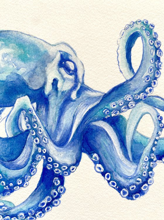 Blue Octopus