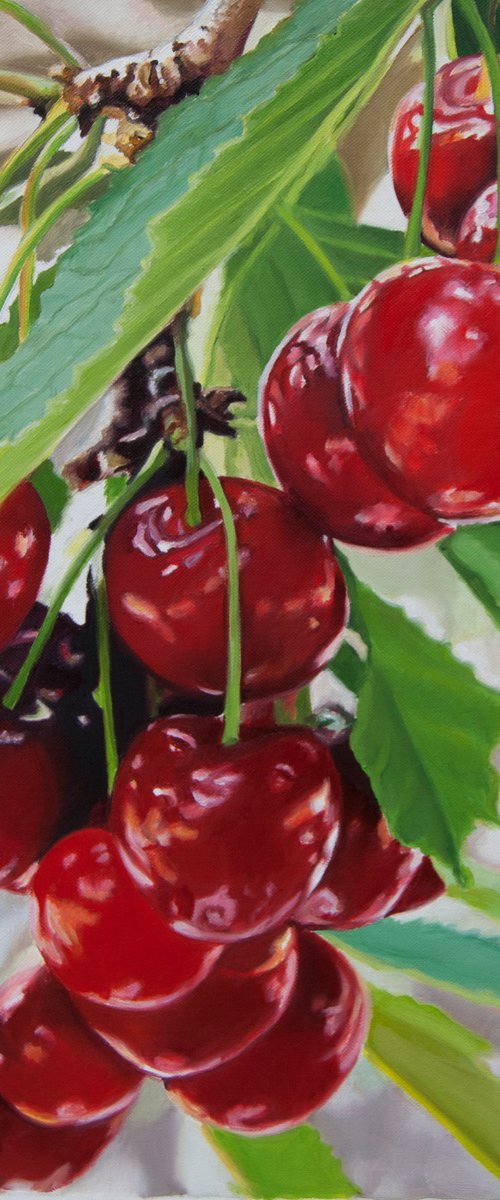 Cherries by Simona Tsvetkova
