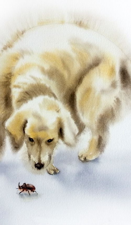 Golden retriever -  Yellow dog by Olga Beliaeva Watercolour