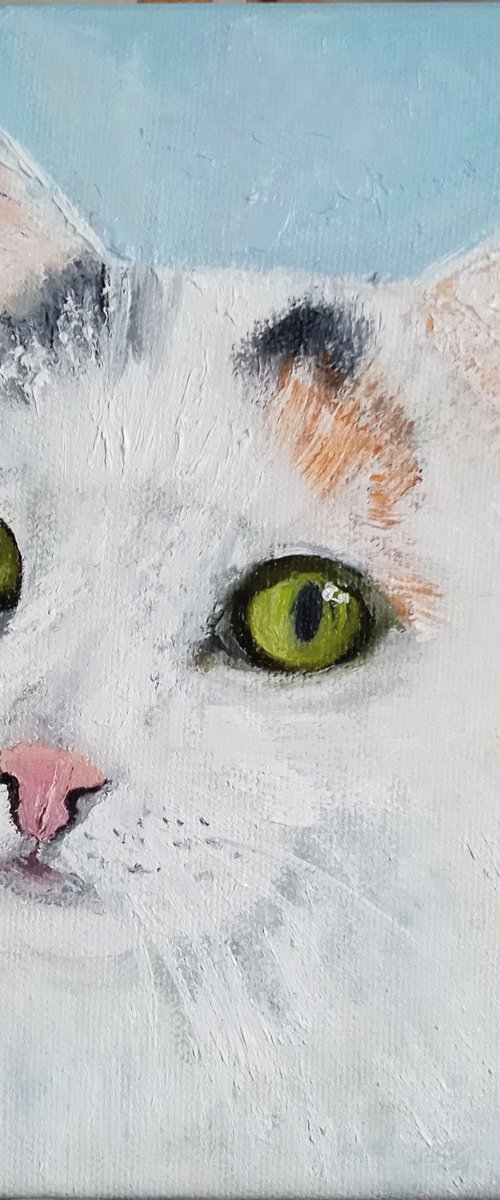 Beloved cat by Ira Whittaker