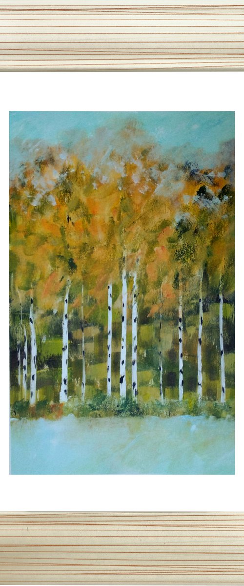 Birch Trees in Autumn by Jan Rippingham
