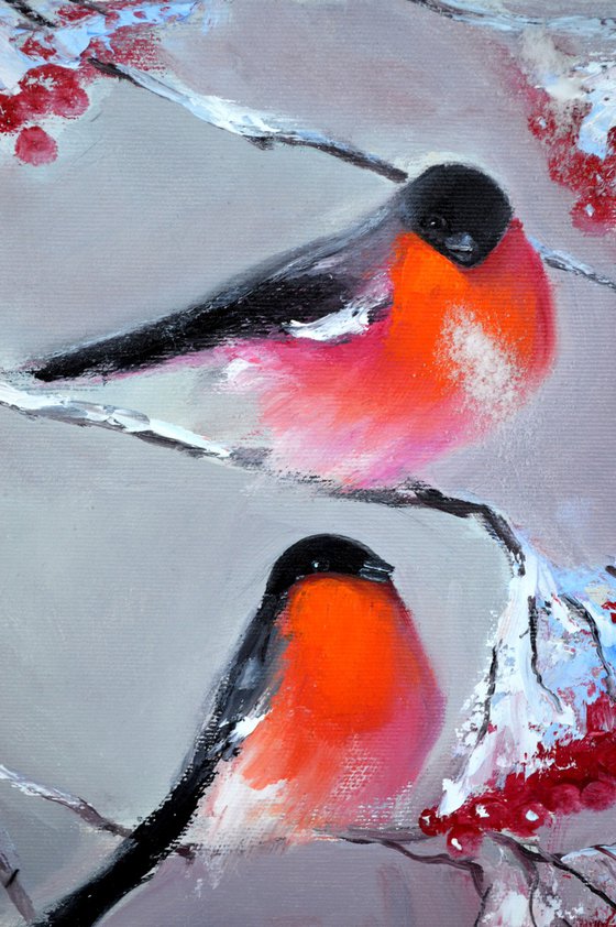 Bullfinches in winter