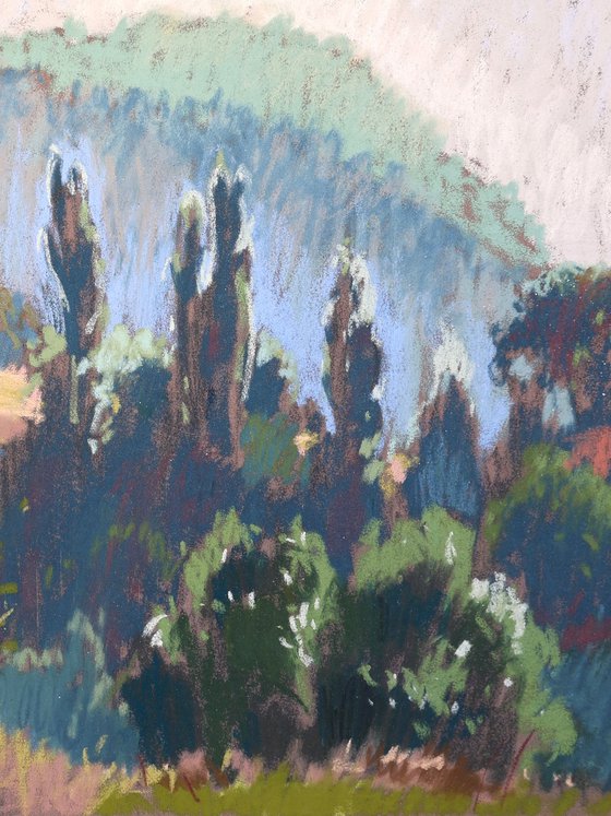 Morning in the Pyrenees