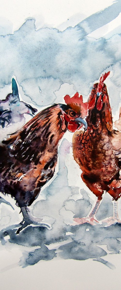 Young rooster and hen by Kovács Anna Brigitta