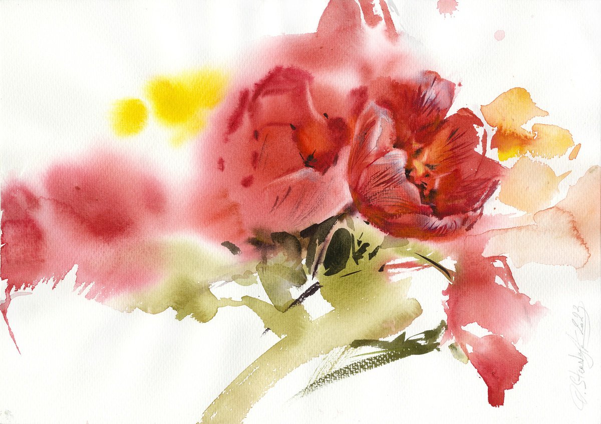 Red tulips by Olga Sternyk