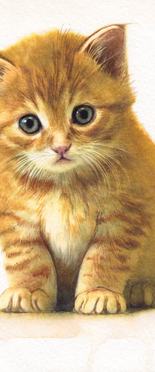 Kitten XIII by REME Jr.