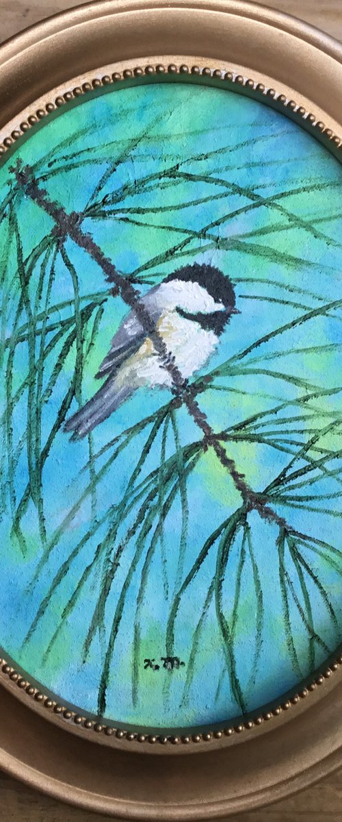 Chickadee # 40 by K. McDermott - oil 10X8 canvas by Kathleen McDermott