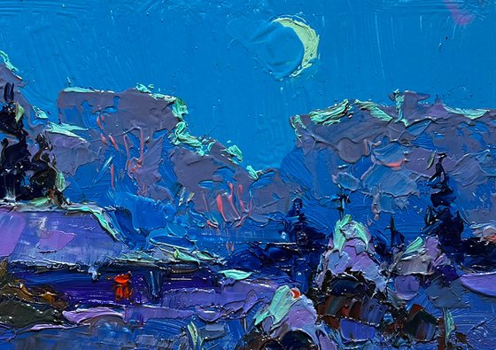 Moonlit winter night