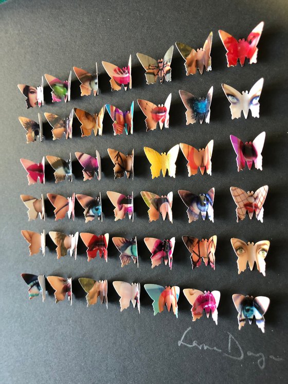 Dirty Little Butterflies