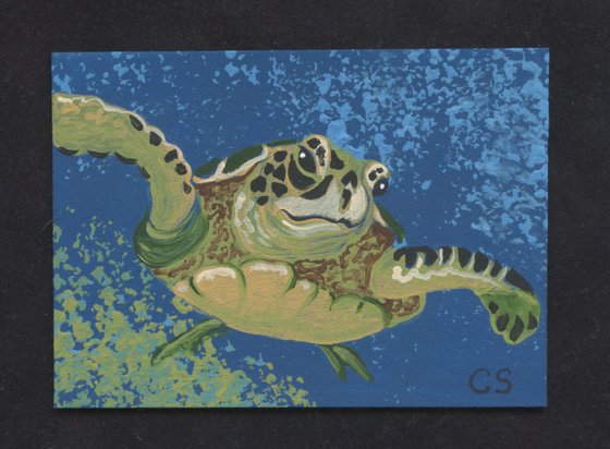 ACEO ATC Original Miniature Painting Sea Turtle Marine Wildlife Art-Carla Smale