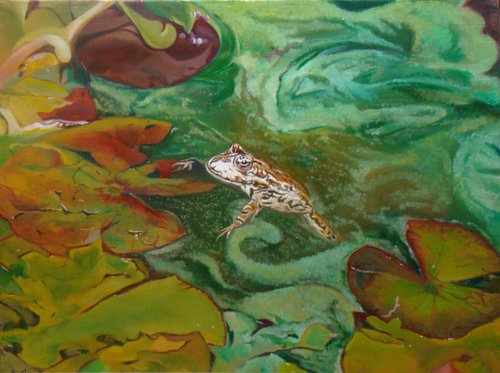 Frog and Water lilies by Anne Zamo