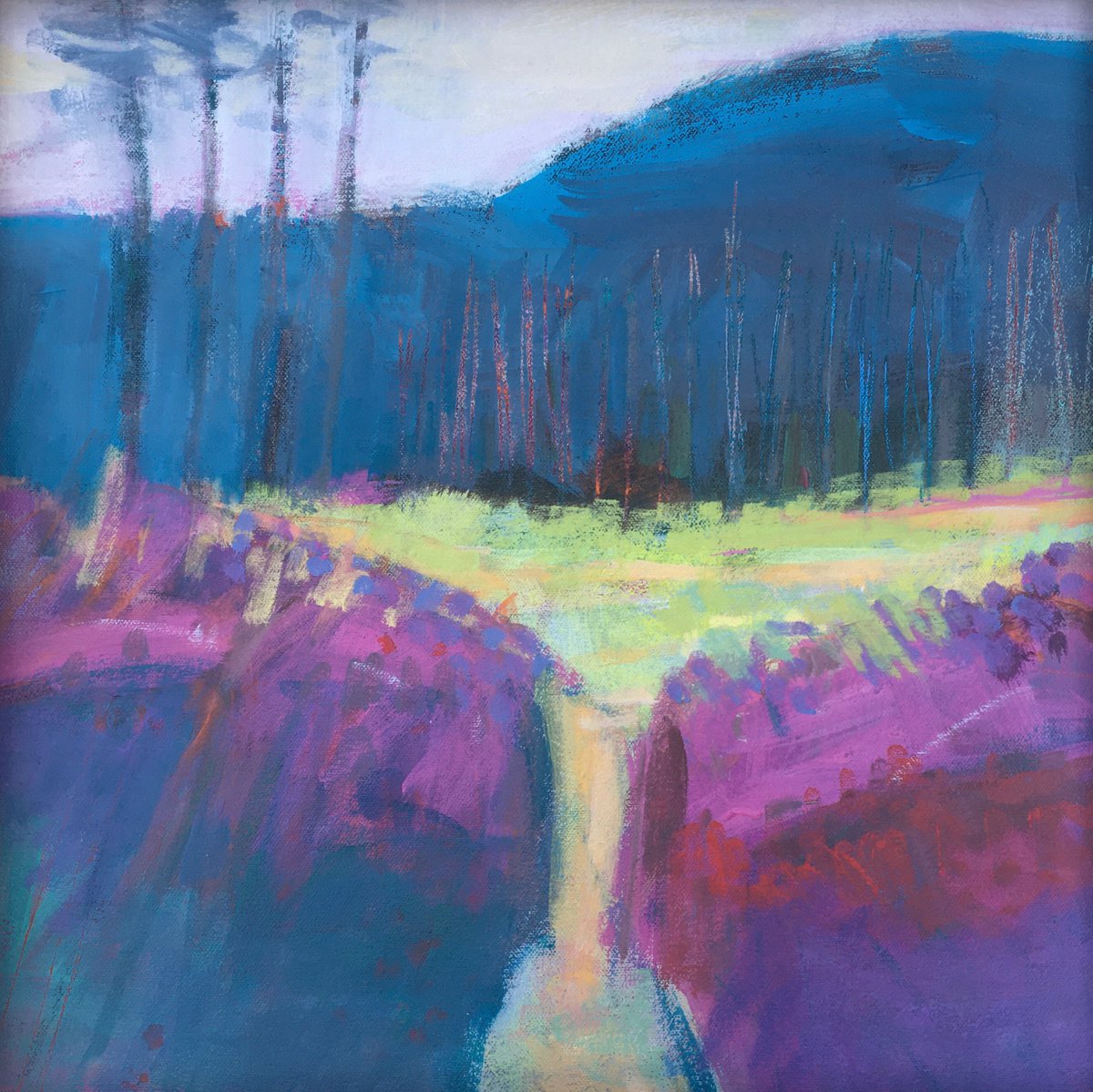 Track Through Grasses , Glen Doll by Chrissie Havers