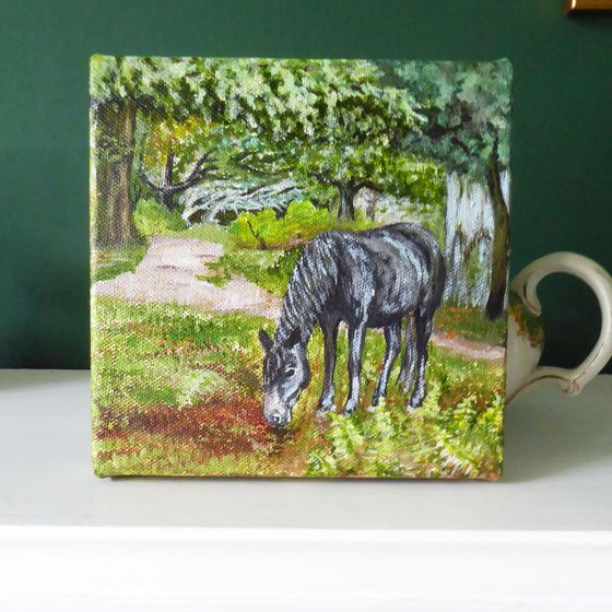New Forest Pony, Bolderwood