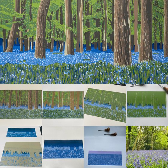 Bluebell Carpet