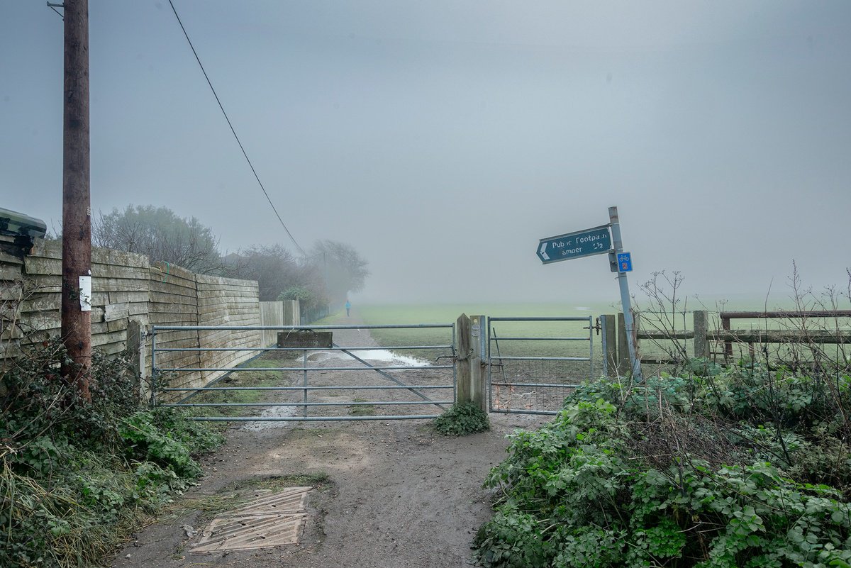 The Path to Camber by Adam Regan