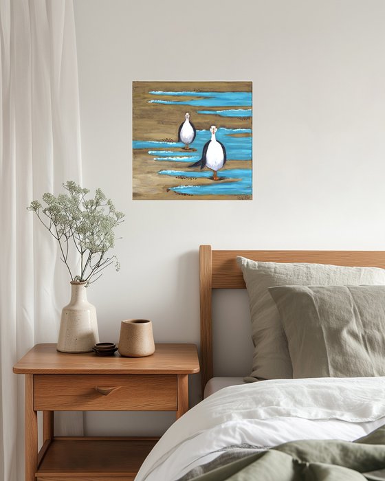 Seagulls