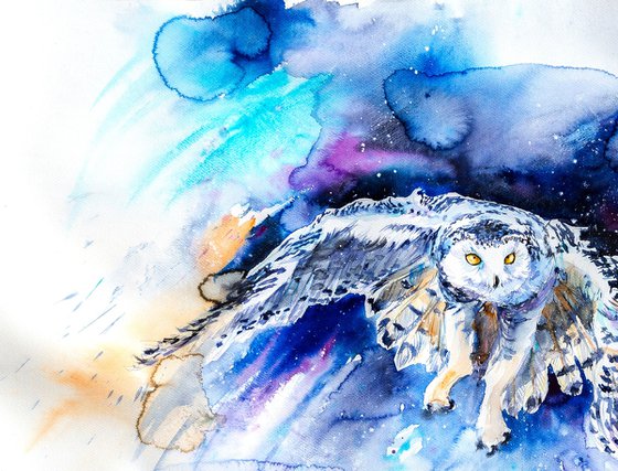 Snowy owl hunting