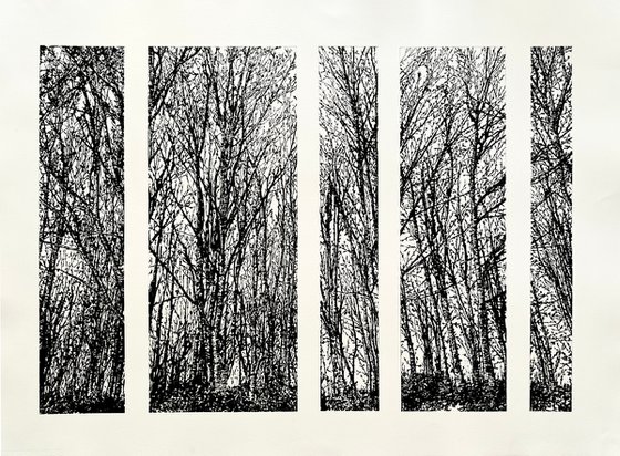 Quiet Spaces