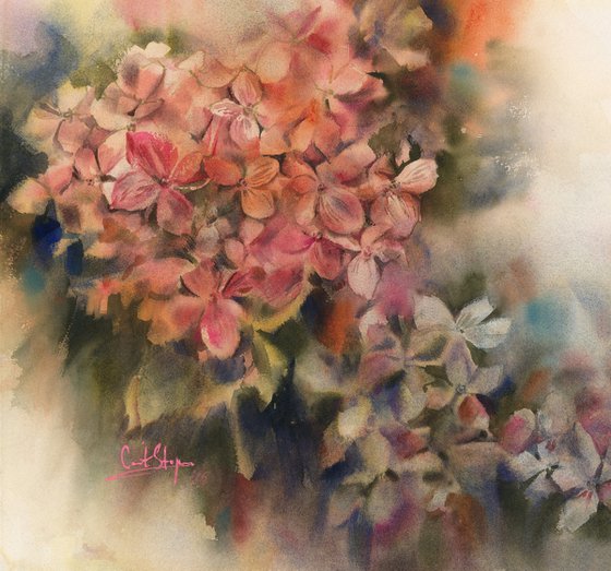 Pink Hydrangea